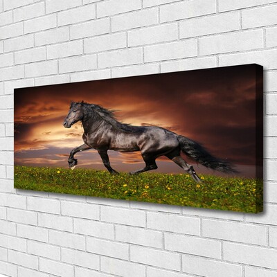 Canvas Kunstdruck Schwarzes Pferd Wiese Tiere
