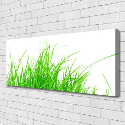 Canvas Kunstdruck Gras Pflanzen