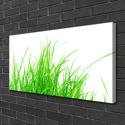 Canvas Kunstdruck Gras Pflanzen