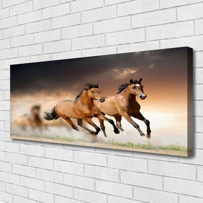 Canvas Kunstdruck Pferde Tiere