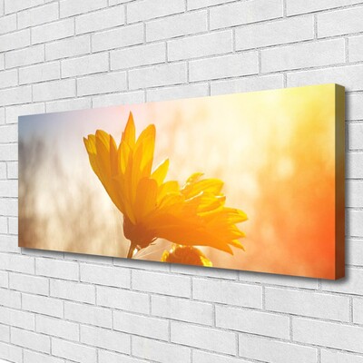Canvas Kunstdruck Sonnenblume Pflanzen