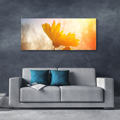 Canvas Kunstdruck Sonnenblume Pflanzen