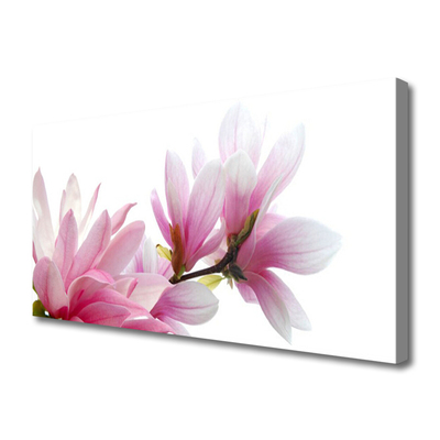 Canvas Kunstdruck Magnolienblüten Pflanzen
