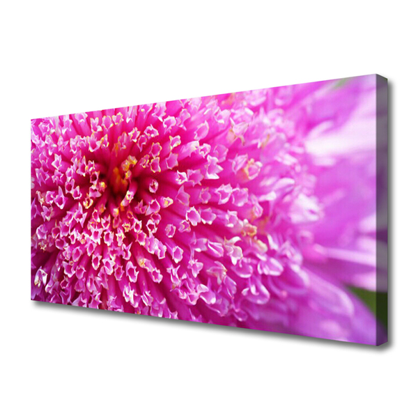 Canvas Kunstdruck Blume Pflanzen