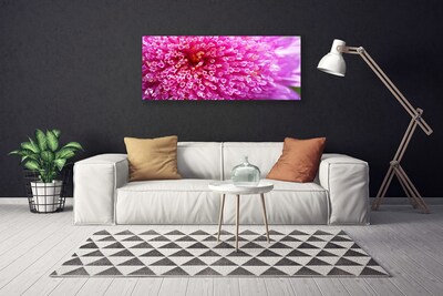 Canvas Kunstdruck Blume Pflanzen