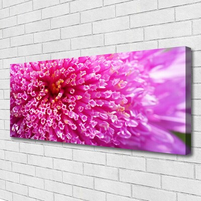 Canvas Kunstdruck Blume Pflanzen