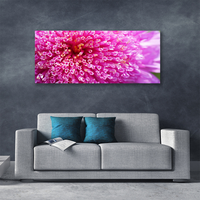 Canvas Kunstdruck Blume Pflanzen