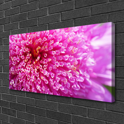 Canvas Kunstdruck Blume Pflanzen