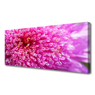 Canvas Kunstdruck Blume Pflanzen