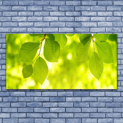 Canvas Kunstdruck Blätter Pflanzen