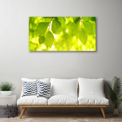 Canvas Kunstdruck Blätter Pflanzen