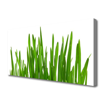 Canvas Kunstdruck Gras Pflanzen