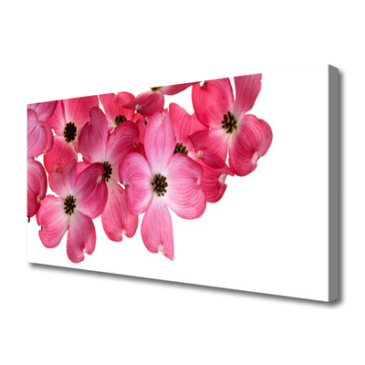 Canvas Kunstdruck Blumen Pflanzen