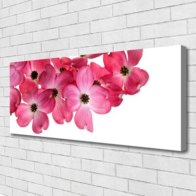 Canvas Kunstdruck Blumen Pflanzen