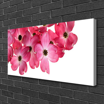 Canvas Kunstdruck Blumen Pflanzen