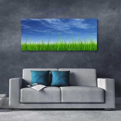 Canvas Kunstdruck Himmel Gras Natur