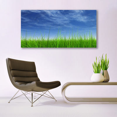 Canvas Kunstdruck Himmel Gras Natur