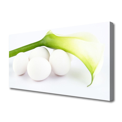 Canvas Kunstdruck Eier Pflanzen