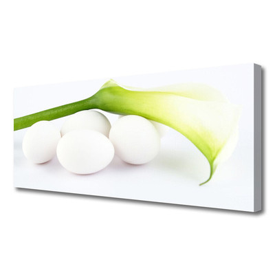 Canvas Kunstdruck Eier Pflanzen