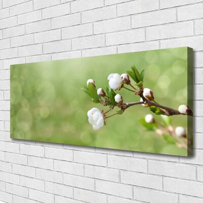 Canvas Kunstdruck Blumen Pflanzen