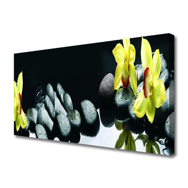 Canvas Kunstdruck Blumen Steine Pflanzen