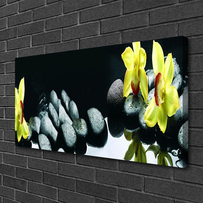 Canvas Kunstdruck Blumen Steine Pflanzen