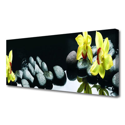 Canvas Kunstdruck Blumen Steine Pflanzen