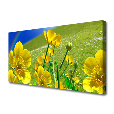 Canvas Kunstdruck Wiese Blumen Regenbogen Natur