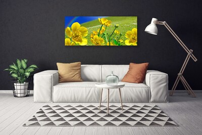 Canvas Kunstdruck Wiese Blumen Regenbogen Natur