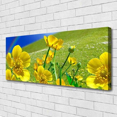 Canvas Kunstdruck Wiese Blumen Regenbogen Natur