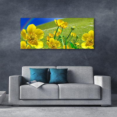 Canvas Kunstdruck Wiese Blumen Regenbogen Natur