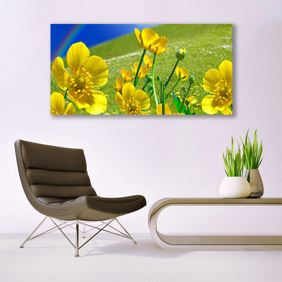 Canvas Kunstdruck Wiese Blumen Regenbogen Natur