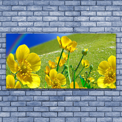 Canvas Kunstdruck Wiese Blumen Regenbogen Natur