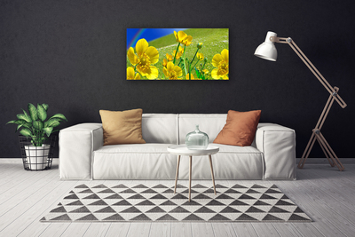 Canvas Kunstdruck Wiese Blumen Regenbogen Natur