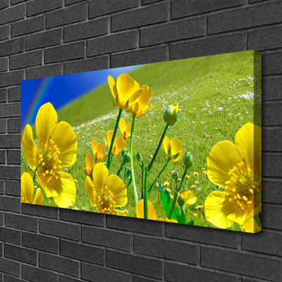 Canvas Kunstdruck Wiese Blumen Regenbogen Natur