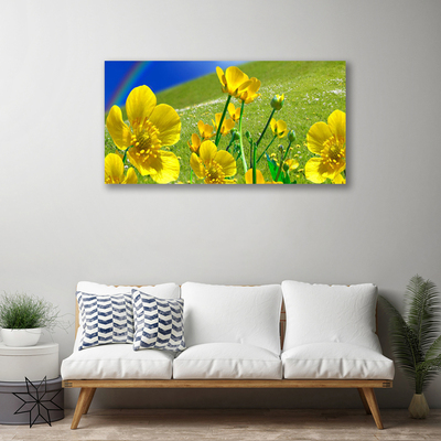 Canvas Kunstdruck Wiese Blumen Regenbogen Natur