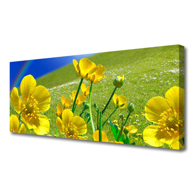 Canvas Kunstdruck Wiese Blumen Regenbogen Natur