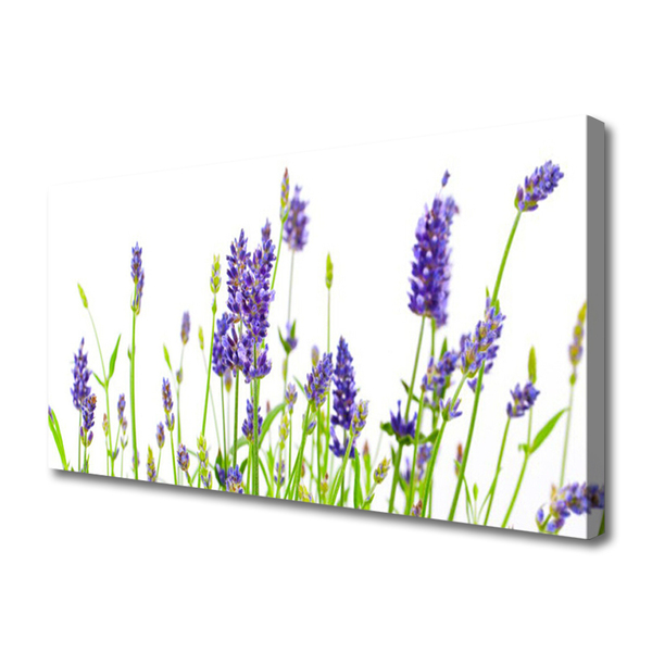 Canvas Kunstdruck Blumen Pflanzen