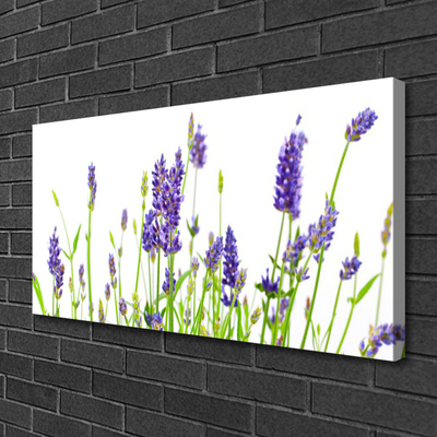 Canvas Kunstdruck Blumen Pflanzen