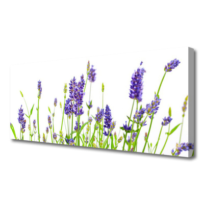 Canvas Kunstdruck Blumen Pflanzen