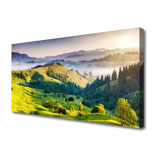 Canvas Kunstdruck Gebirge Feld Wald Nebel Natur
