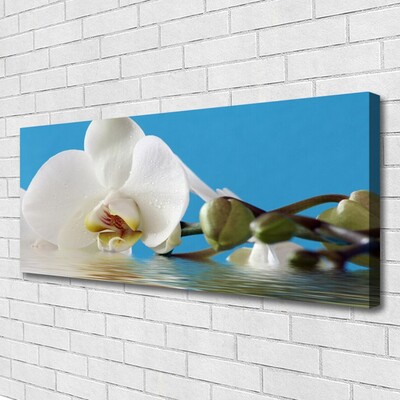 Canvas Kunstdruck Blume Pflanzen