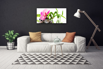 Canvas Kunstdruck Blume Pflanzen