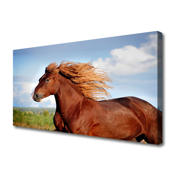 Canvas Kunstdruck Pferd Tiere