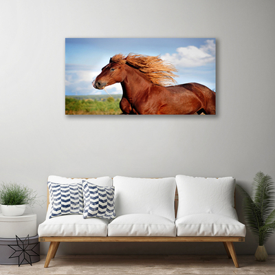 Canvas Kunstdruck Pferd Tiere