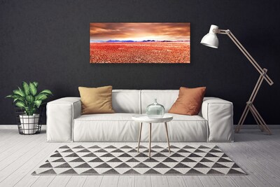 Canvas Kunstdruck Wüste Landschaft