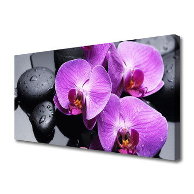 Canvas Kunstdruck Blumen Steine Pflanzen