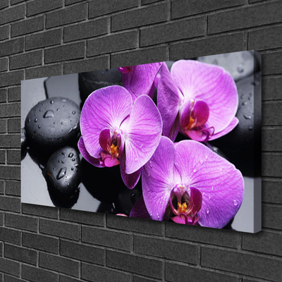 Canvas Kunstdruck Blumen Steine Pflanzen