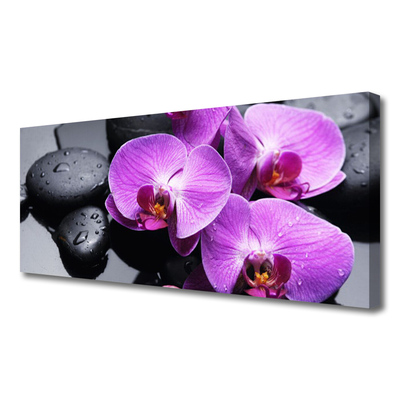 Canvas Kunstdruck Blumen Steine Pflanzen