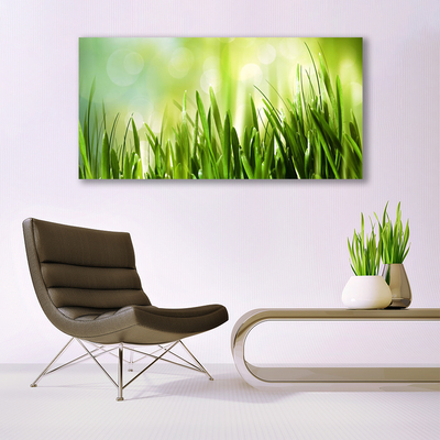 Canvas Kunstdruck Gras Natur